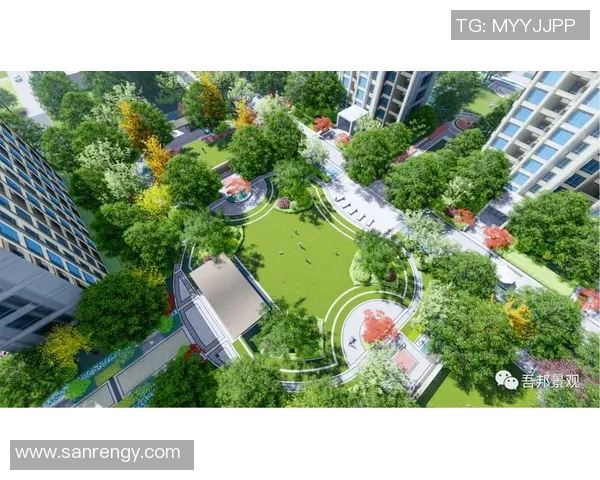 足球场的价格如何影响青少年运动发展与社区活力的关系分析