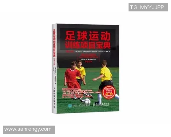 足球分类的多样性探讨与不同类型足球的特点分析